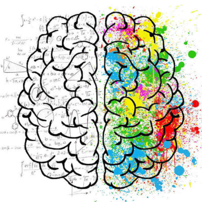 cerveau droit et cerveau gauche