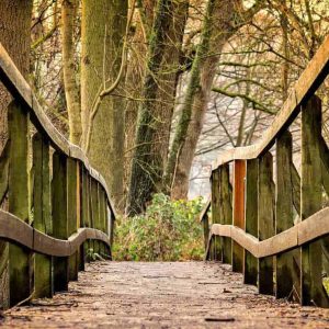 Changements et transitions de vie