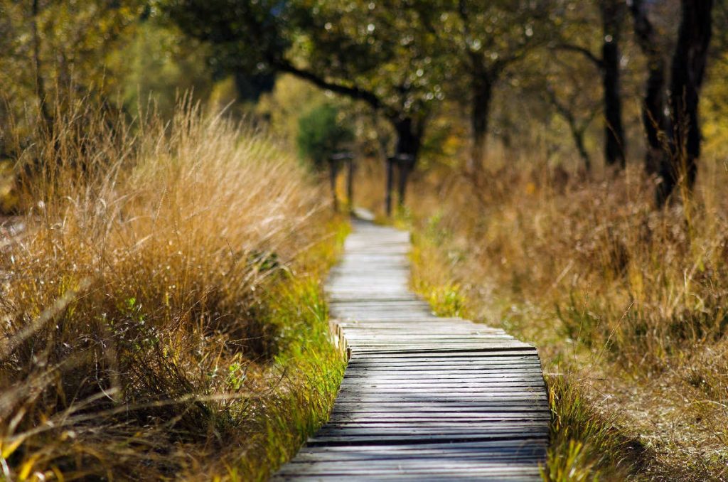 Le chemin vers l'objectif