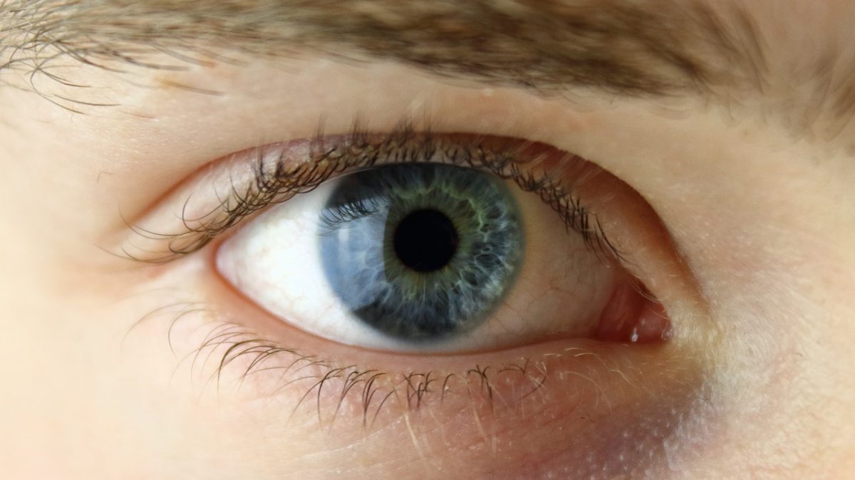 Cligner des yeux