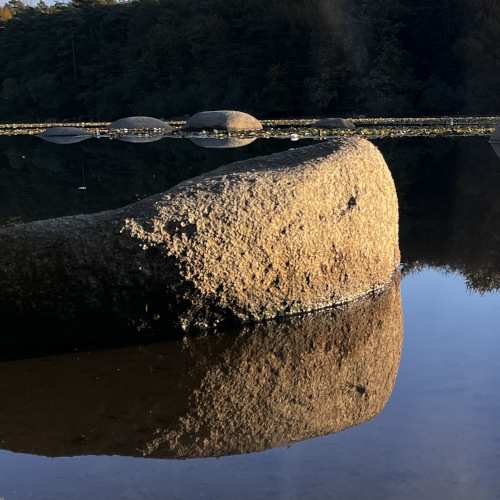 Rocher de granit baignant dans le Tarn